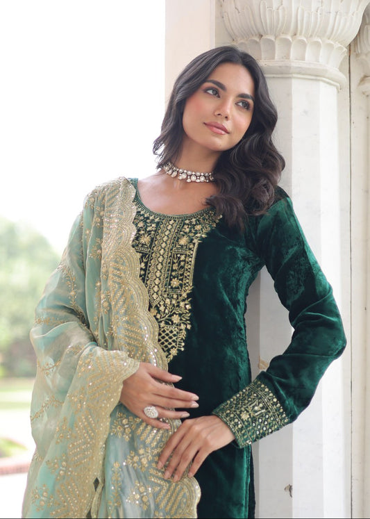 Stunning Zari Velvet Kurta Set